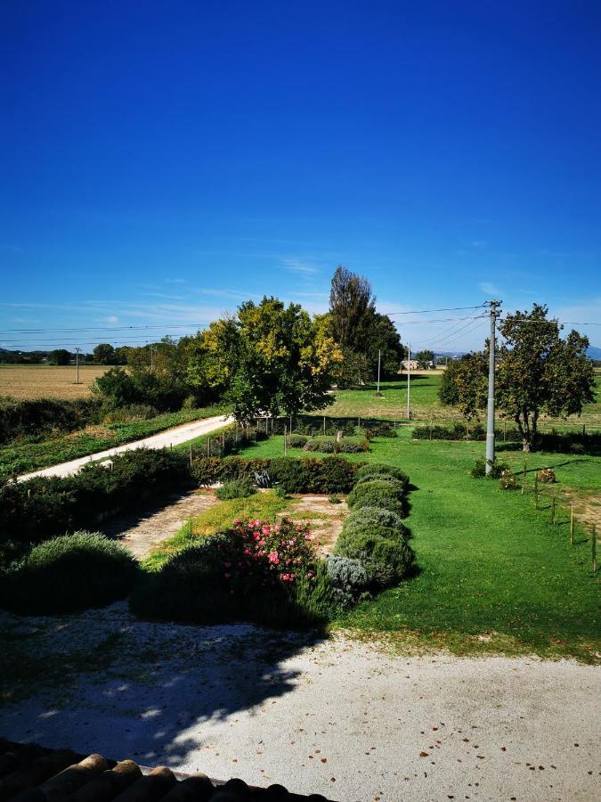 La Casa Dei Tigli Bed and Breakfast Cannara Eksteriør billede