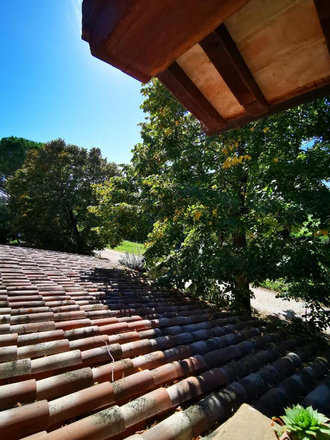 La Casa Dei Tigli Bed and Breakfast Cannara Eksteriør billede