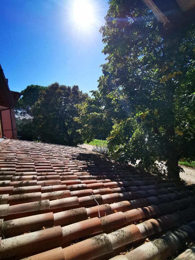 La Casa Dei Tigli Bed and Breakfast Cannara Eksteriør billede