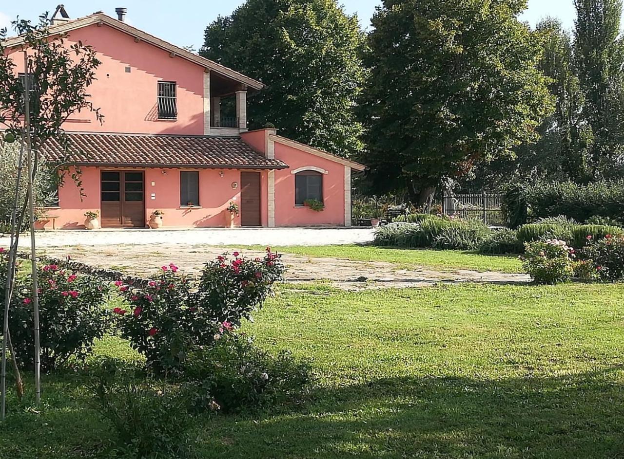 La Casa Dei Tigli Bed and Breakfast Cannara Eksteriør billede
